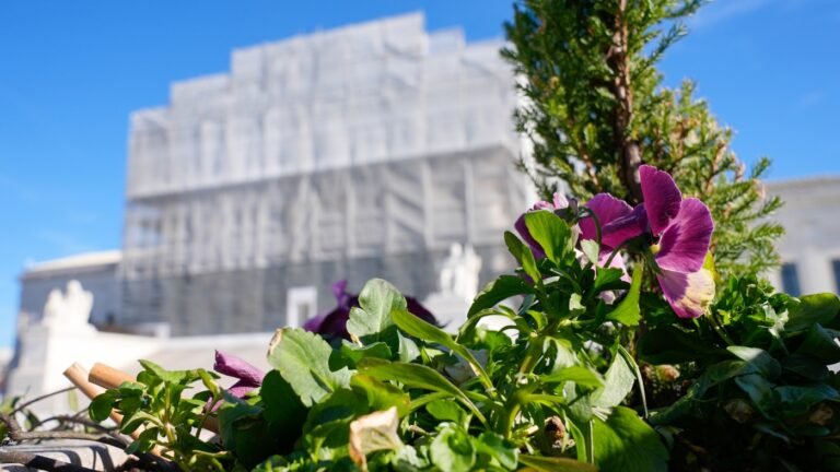 urlhttp3A2F2Fnpr brightspot.s3.amazonaws.com2Faf2F7a2Ffefebdaf44e19a4fc58577cea8be2Fap25328