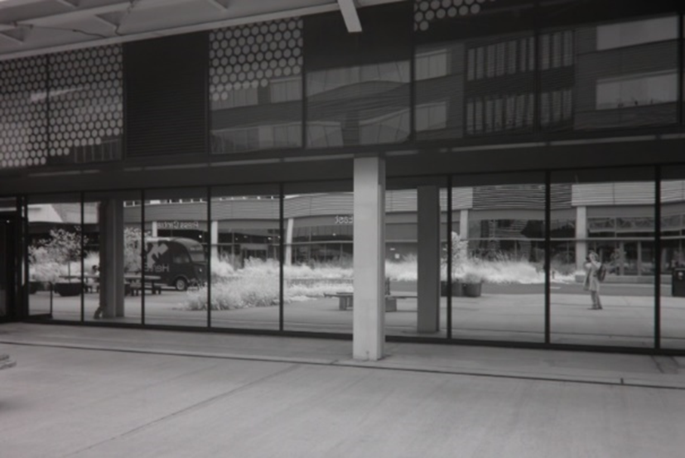 41598 2026 35389 Fig1 HTML