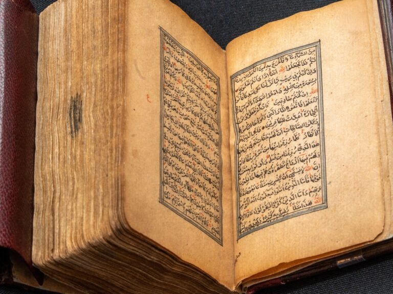 AP25365617504102 1767238631