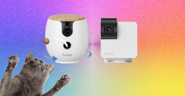 The20Best20Pet20Cameras20for20Dogs20and20Cats2
