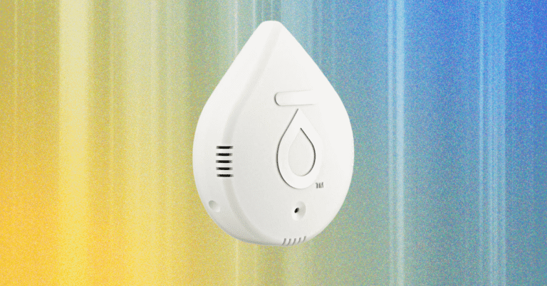 The20Best20Water20Leak20Detectors20for20Your20Home