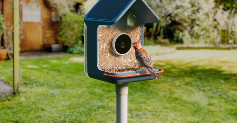 birdbuddy2