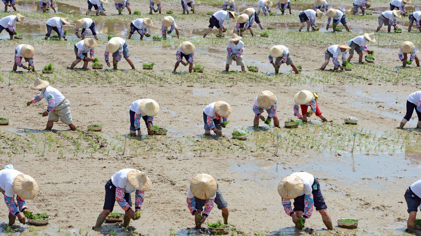 150441091 wide 203ddaf9b2e18afa66e0364a9e78ee5472d40458