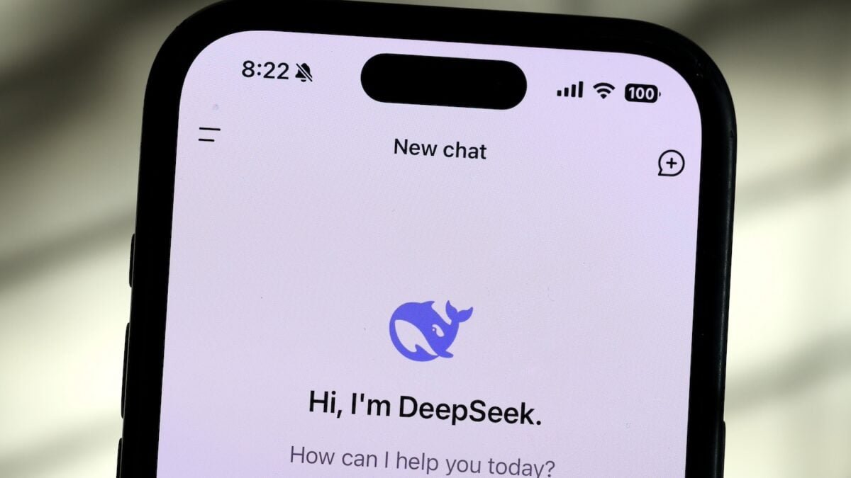DeepSeek iPhone App