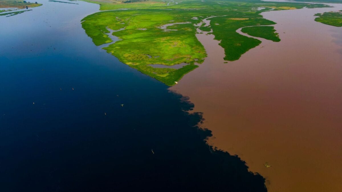 Fimi and Kasai rivers