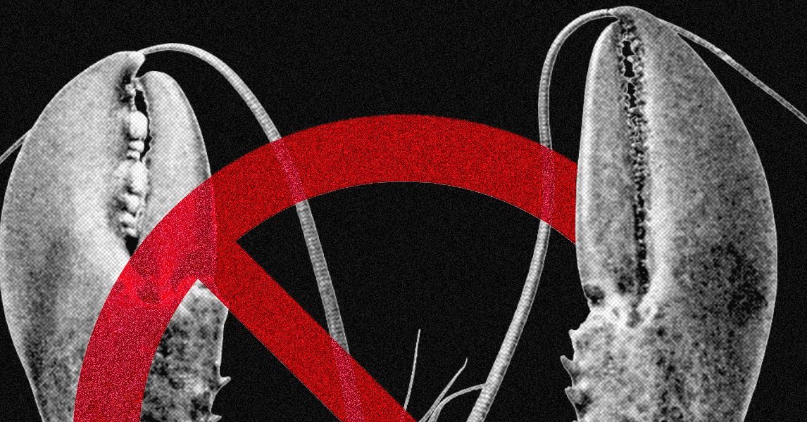 OpenClaw Ban Business