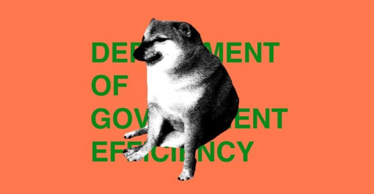 STKS486 DOGE DEPARTMENT 2 E