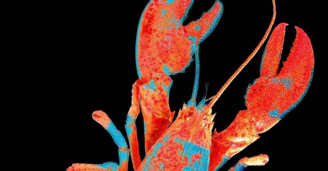 Security Roundup Clawdbot 594836269