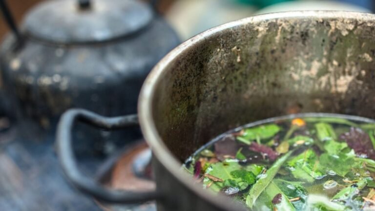 ayahuasca 1200x675