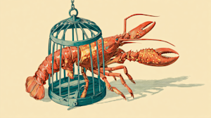 crimedy7 illustration of a lobster thats in a cage ar 169 2081b356 9d2f 480b 9bef 99c11d44bb10 1