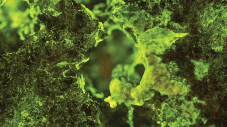 micro bio jsc2019e039825 orig 1200x675