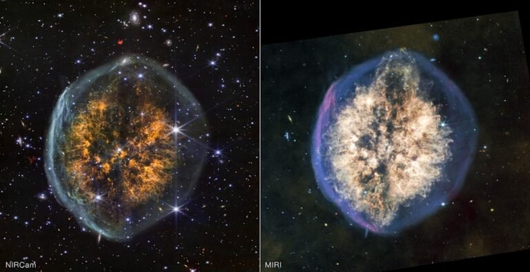 stsci 01k843kg664wg1fd061j0afcsh