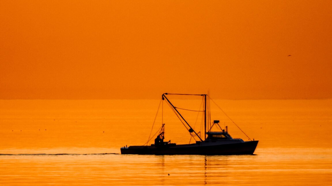 GettyImages 2202289392