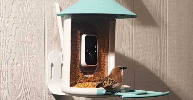 Netvue Birdfy Lifestyle Image.webp