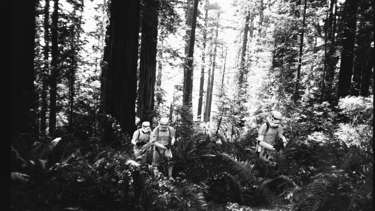 Redwoods River Shoot Extra 15