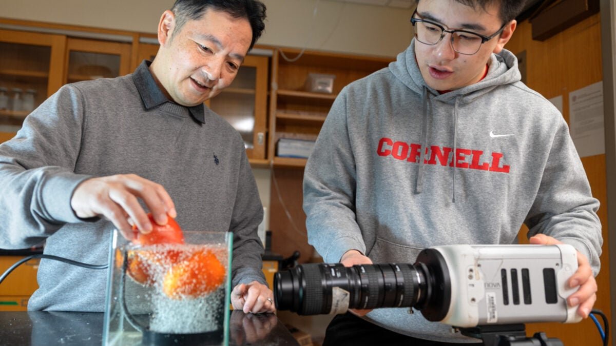 cornell bubble acoustic cleaning jung lin