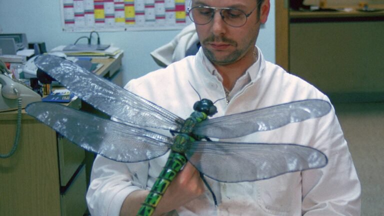 mega griffinfly 1200x675