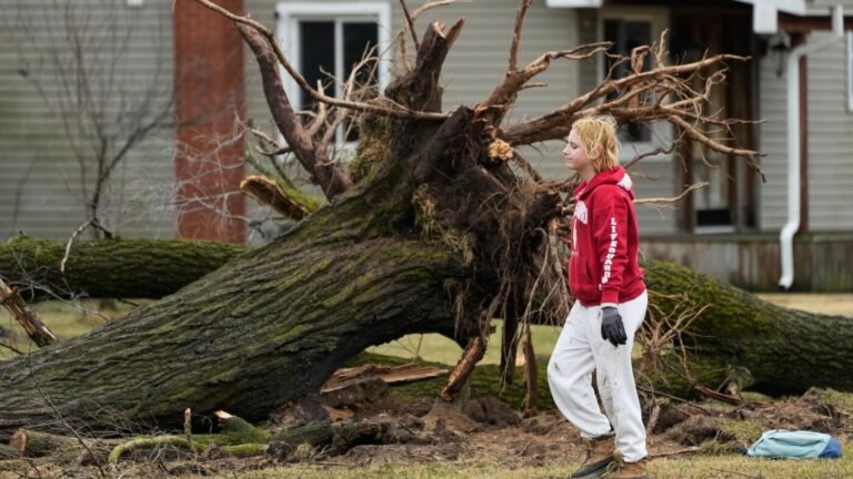 urlhttp3A2F2Fnpr brightspot.s3.amazonaws.com2F6b2Fd72Fd007b66f4f918ed8195dc6df51ee2Fap26066