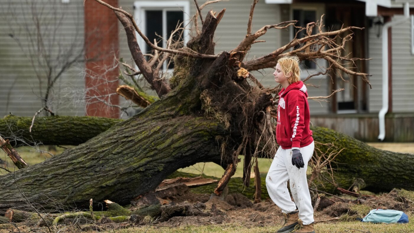 urlhttp3A2F2Fnpr brightspot.s3.amazonaws.com2F6b2Fd72Fd007b66f4f918ed8195dc6df51ee2Fap26066