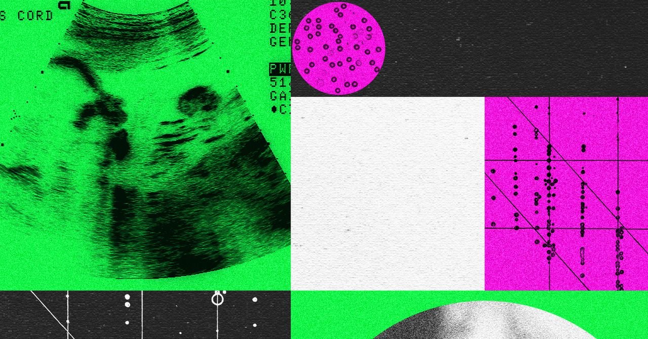 041526 Designer20Baby20Companies20Are20in20Turmoil20