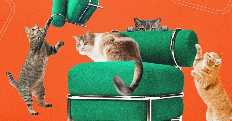 042426 IKEAs20New20Blow Up20Chair20Was20Tested20By20Cats