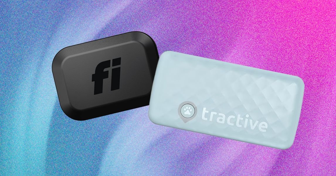 Fi Mini and Tractive Which Smart Cat Tracker Should You Buy