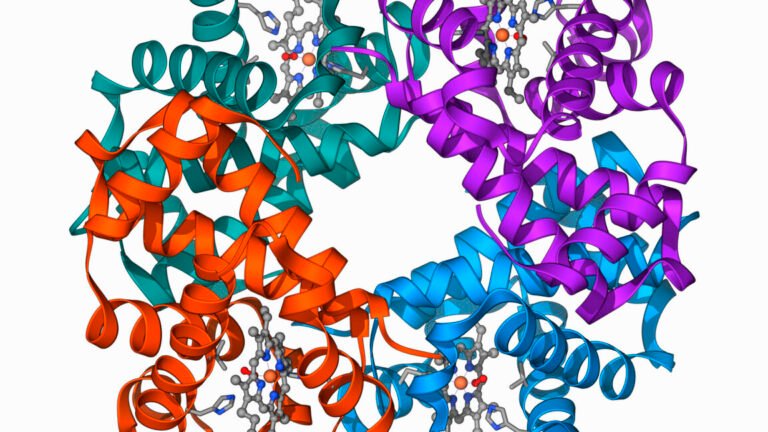 GettyImages 185759358 1152x648