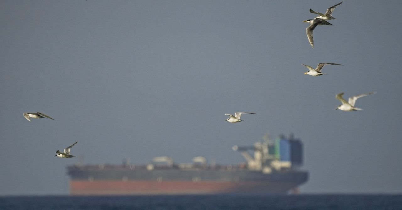 GettyImages 2269814669