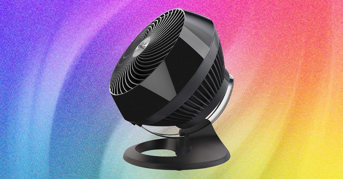The Best Fans to Buy Before It Gets Hot Again