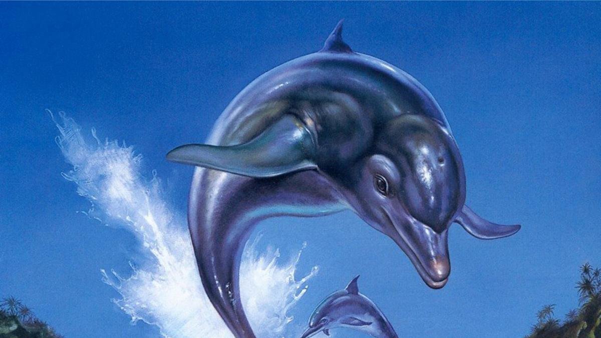 ecco the dolphin art 2675