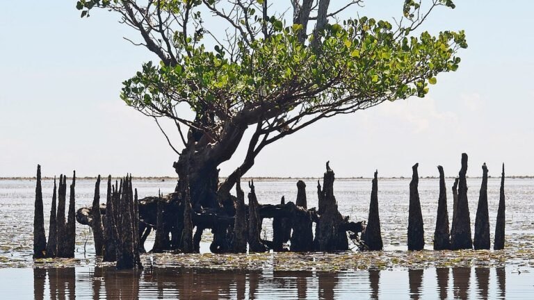 https3A2F2Fsubstack post media.s3.amazonaws.com2Fpublic2Fimages2F865161c0 c57a 4d19 93b4 9b4a8