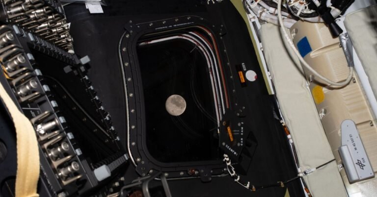 science Artemis GettyImages 2269645595