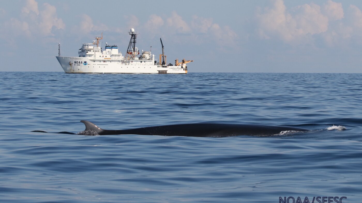 urlhttp3A2F2Fnpr brightspot.s3.amazonaws.com2F2a2Fd72Fc84a330e4f279a7c92755825b3d12Fgu1901