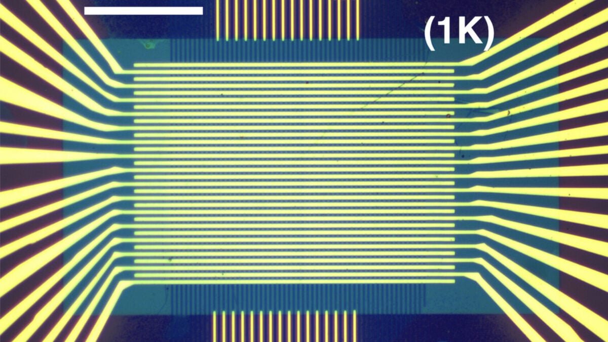 usc yang et al memory chip optical image