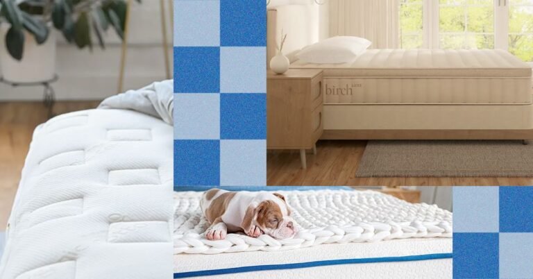 Best20Memorial20Day20Mattress20Deals20SOURCE20MyGreenMattress20Birch20Naturepedic
