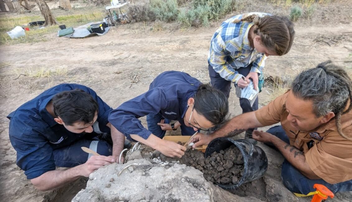 Excavation. Photo BQ
