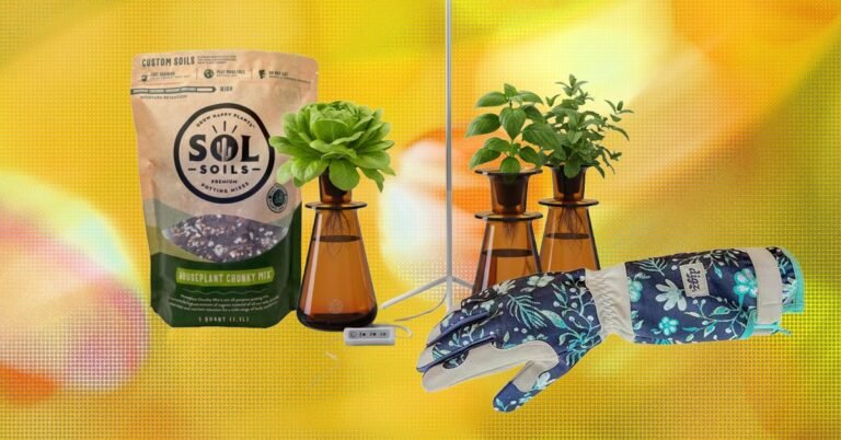 The 15 Best Gifts for Plant Lovers and Gardeners