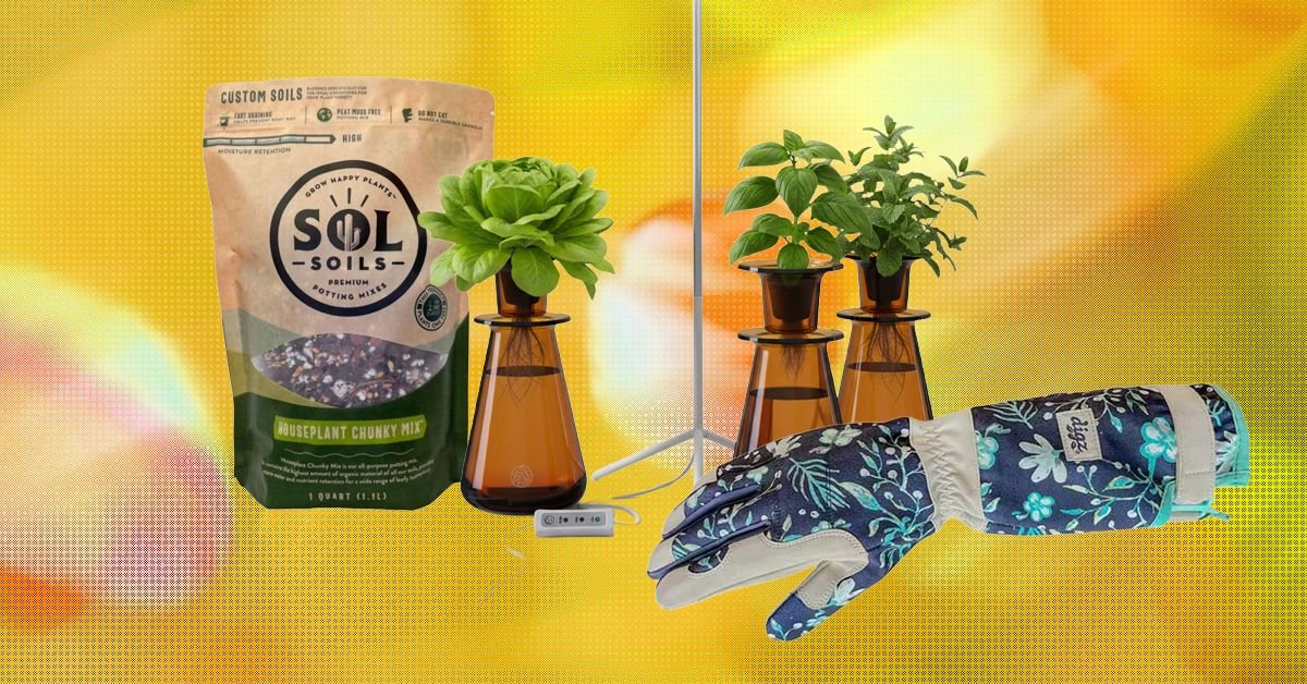 The 15 Best Gifts for Plant Lovers and Gardeners