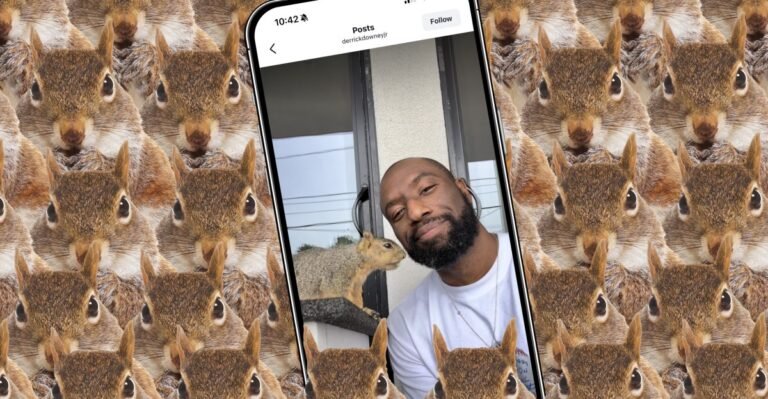 Vrg illo squirrel influencer