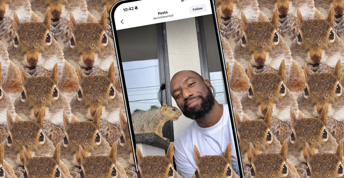 Vrg illo squirrel influencer