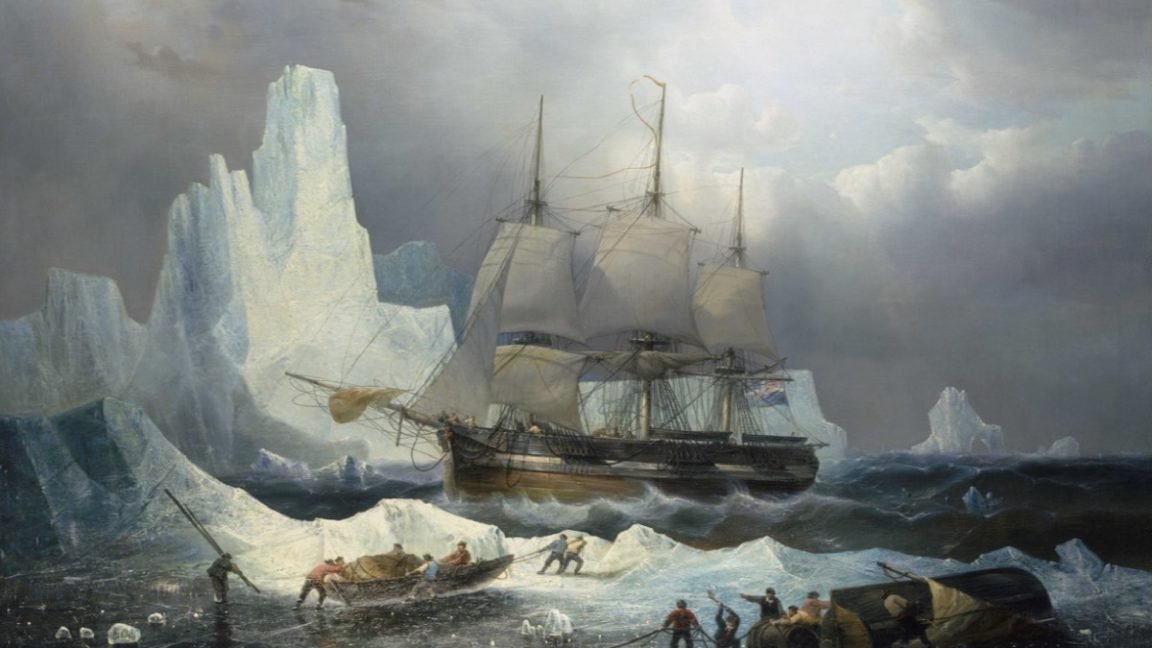 arcticTOP