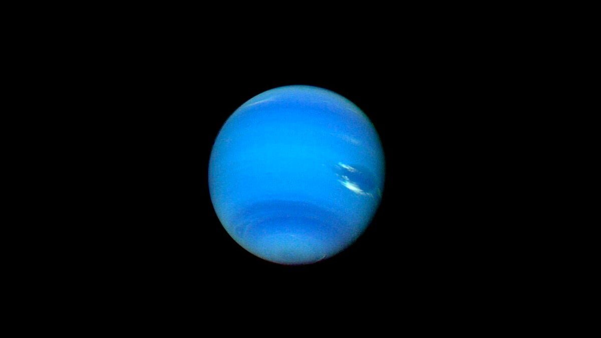 neptune lead