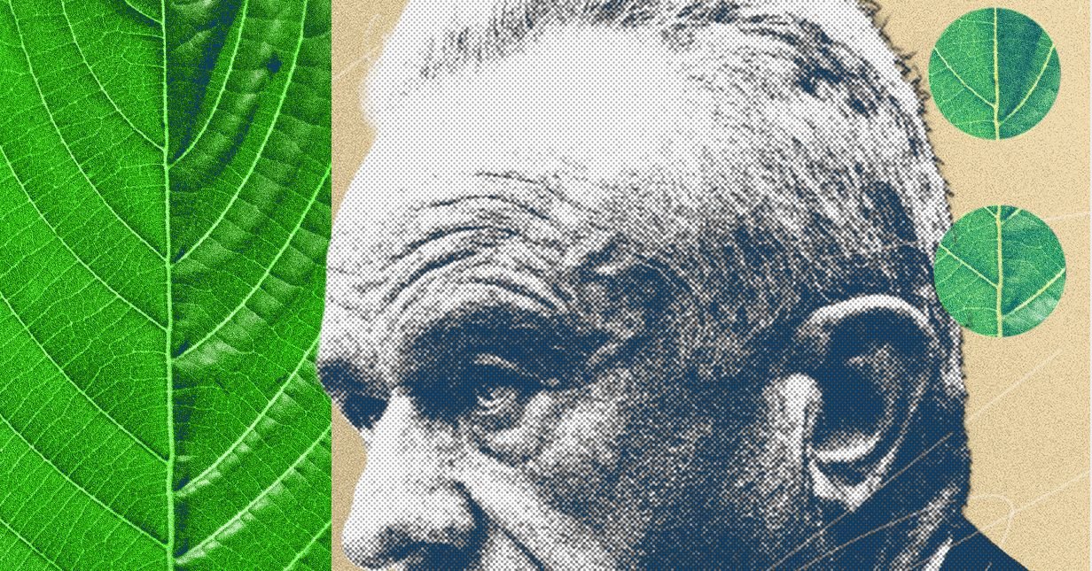 Kratom Civil War Culture