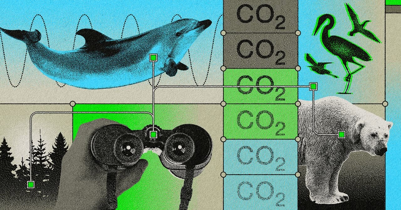 Wired20Conservation20FINAL
