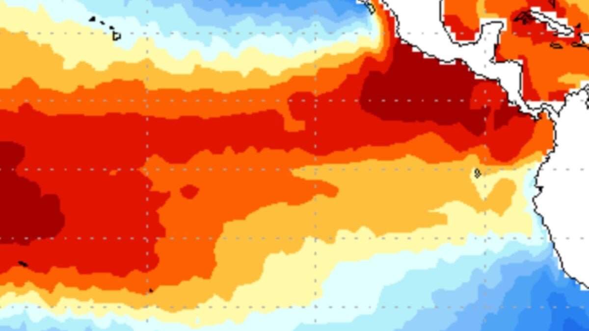 tropical pacific SSTs